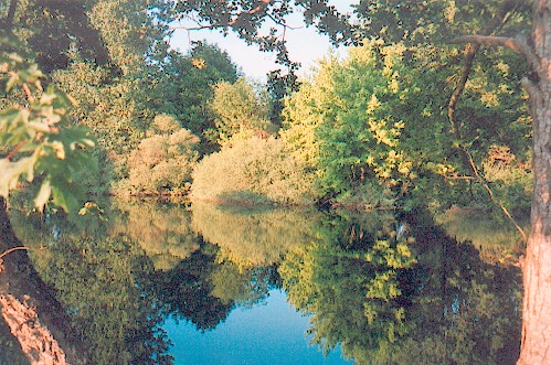 La Gartempe à Vicq sur Gartempe