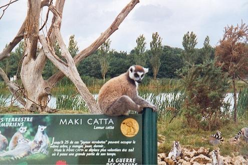 Parc zoologique de la Haute Touche - Cliquez pour agrandir